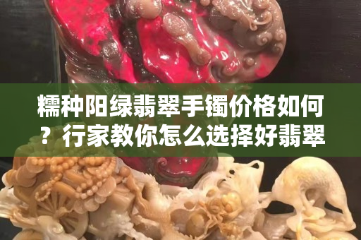糯種陽綠翡翠手鐲價格如何？行家教你怎么選擇好翡翠
