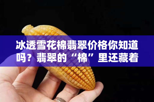 冰透雪花棉翡翠價(jià)格你知道嗎？翡翠的“棉”里還藏著什么秘密？