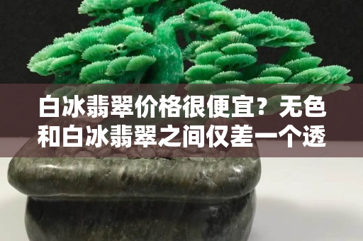 白冰翡翠價格很便宜？無色和白冰翡翠之間僅差一個透明度！