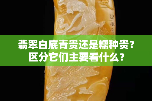 翡翠白底青貴還是糯種貴？區分它們主要看什么？