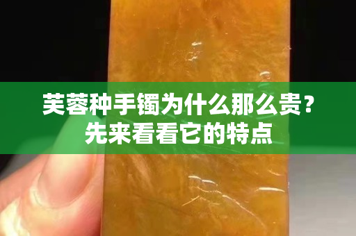 芙蓉種手鐲為什么那么貴？先來看看它的特點