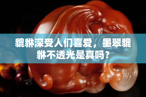 貔貅深受人們喜愛，墨翠貔貅不透光是真嗎？