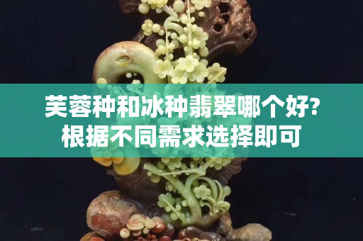 芙蓉種和冰種翡翠哪個好?根據不同需求選擇即可