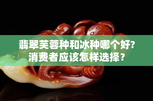 翡翠芙蓉種和冰種哪個好?消費者應該怎樣選擇？