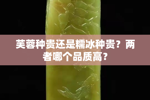 芙蓉種貴還是糯冰種貴？兩者哪個品質高？