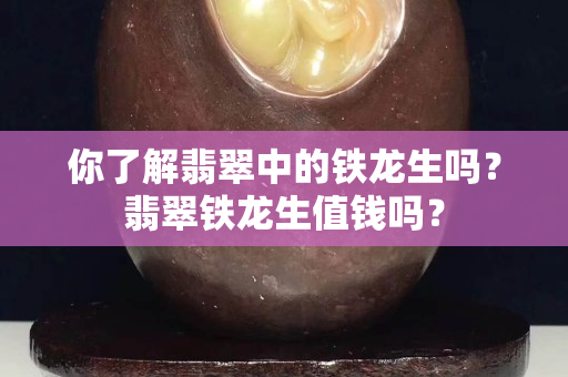 你了解翡翠中的鐵龍生嗎？翡翠鐵龍生值錢嗎？