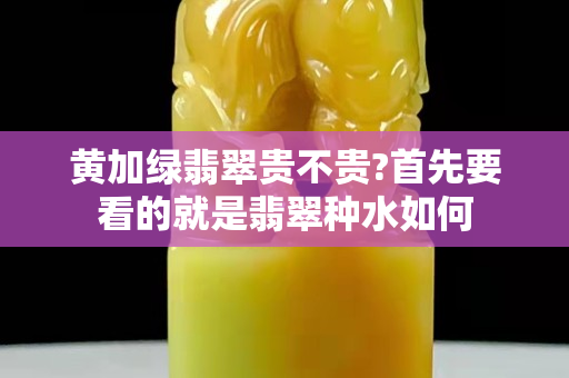 黃加綠翡翠貴不貴?首先要看的就是翡翠種水如何