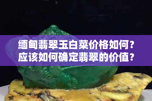 緬甸翡翠玉白菜價(jià)格如何？應(yīng)該如何確定翡翠的價(jià)值？