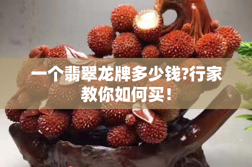 一個翡翠龍牌多少錢?行家教你如何買！
