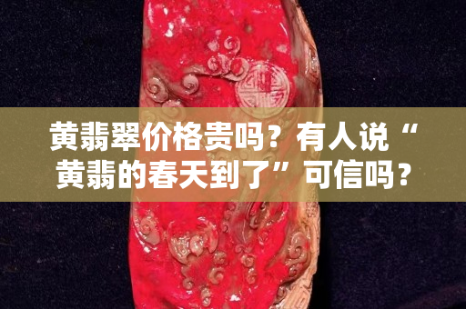 黃翡翠價格貴嗎？有人說“黃翡的春天到了”可信嗎？
