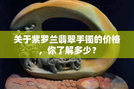 關(guān)于紫羅蘭翡翠手鐲的價格，你了解多少？