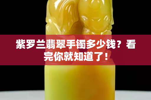 紫羅蘭翡翠手鐲多少錢？看完你就知道了！