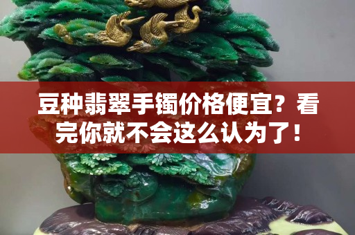 豆種翡翠手鐲價格便宜？看完你就不會這么認為了！