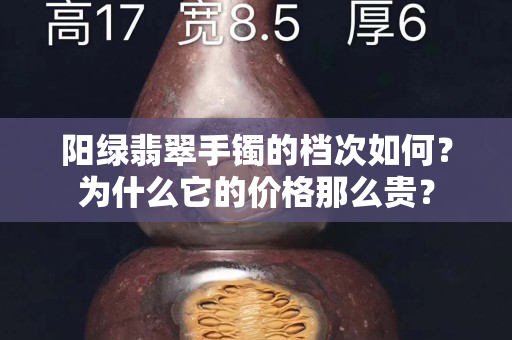 陽綠翡翠手鐲的檔次如何？為什么它的價格那么貴？