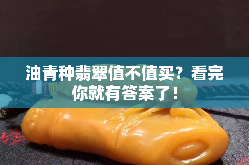 油青種翡翠值不值買？看完你就有答案了！