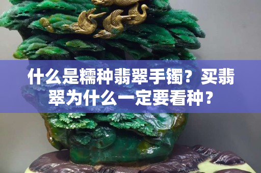 什么是糯種翡翠手鐲？買翡翠為什么一定要看種？