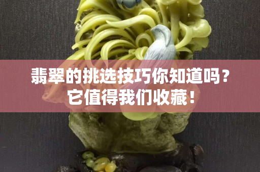 翡翠的挑選技巧你知道嗎？它值得我們收藏！