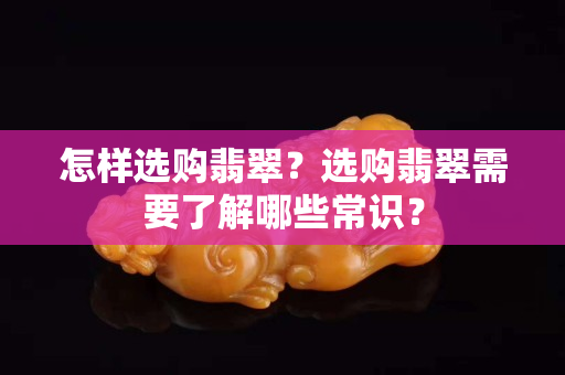 怎樣選購翡翠？選購翡翠需要了解哪些常識(shí)？