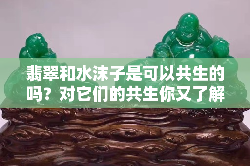 翡翠和水沫子是可以共生的嗎？對它們的共生你又了解什么？