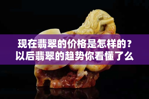 現(xiàn)在翡翠的價(jià)格是怎樣的？以后翡翠的趨勢(shì)你看懂了么？