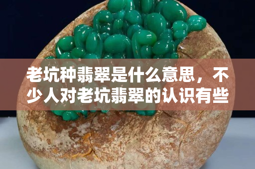 老坑種翡翠是什么意思，不少人對老坑翡翠的認識有些誤區
