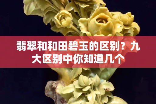 翡翠和和田碧玉的區(qū)別？九大區(qū)別中你知道幾個