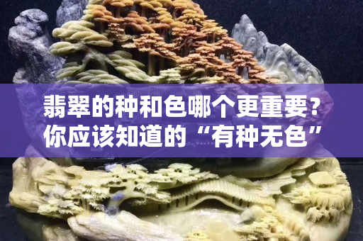翡翠的種和色哪個更重要？你應(yīng)該知道的“有種無色”和“有色無種”