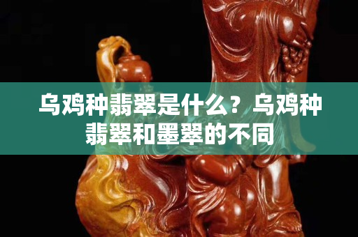 烏雞種翡翠是什么？烏雞種翡翠和墨翠的不同