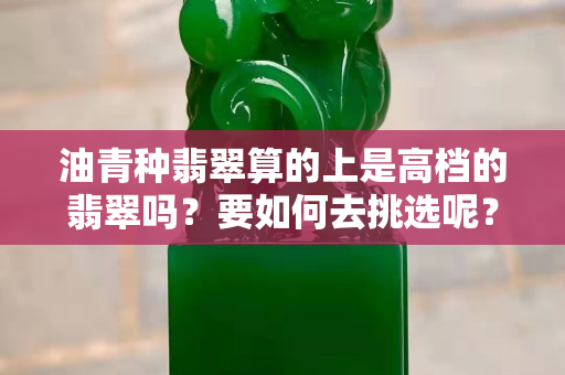 油青種翡翠算的上是高檔的翡翠嗎？要如何去挑選呢？