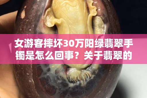 女游客摔壞30萬陽綠翡翠手鐲是怎么回事？關于翡翠的一些行規你了解嗎？