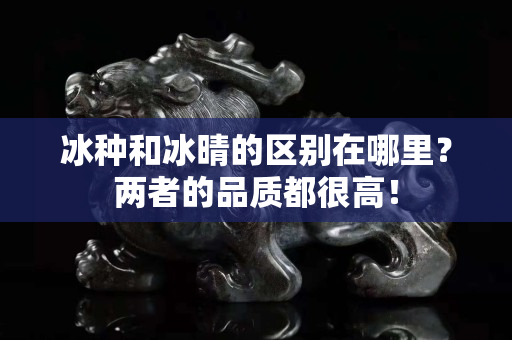 冰種和冰晴的區別在哪里？兩者的品質都很高！