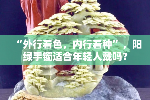 “外行看色，內行看種”，陽綠手鐲適合年輕人戴嗎？