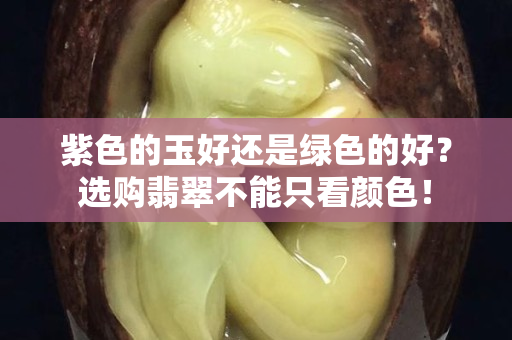 紫色的玉好還是綠色的好？選購翡翠不能只看顏色！