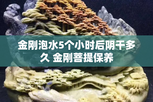 金剛泡水5個小時后陰干多久 金剛菩提保養