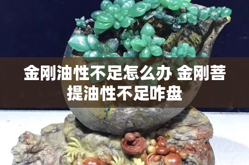 金剛油性不足怎么辦 金剛菩提油性不足咋盤