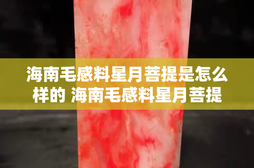 海南毛感料星月菩提是怎么樣的 海南毛感料星月菩提