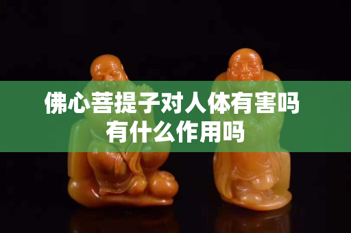 佛心菩提子對(duì)人體有害嗎 有什么作用嗎