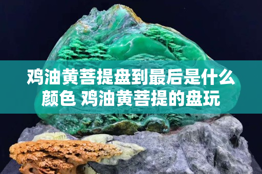 雞油黃菩提盤到最后是什么顏色 雞油黃菩提的盤玩