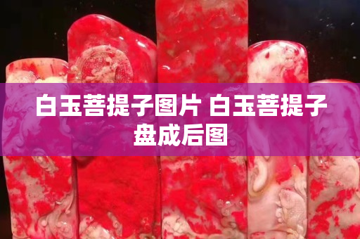 白玉菩提子圖片 白玉菩提子盤成后圖