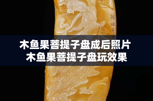 木魚果菩提子盤成后照片 木魚果菩提子盤玩效果