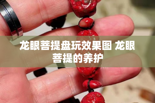 龍眼菩提盤玩效果圖 龍眼菩提的養(yǎng)護(hù)