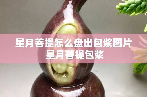 星月菩提怎么盤出包漿圖片 星月菩提包漿