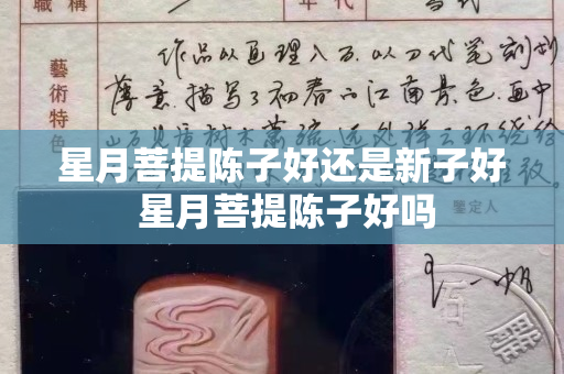星月菩提陳子好還是新子好 星月菩提陳子好嗎