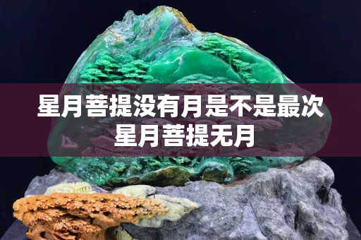 星月菩提沒有月是不是最次 星月菩提無月
