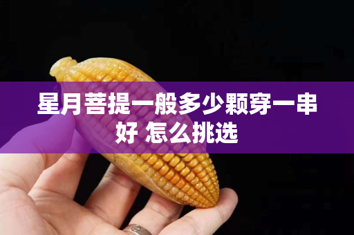 星月菩提一般多少顆穿一串好 怎么挑選