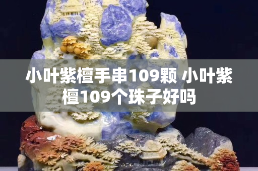 小葉紫檀手串109顆 小葉紫檀109個珠子好嗎