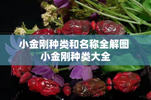 小金剛種類和名稱全解圖 小金剛種類大全