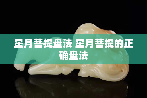 星月菩提盤法 星月菩提的正確盤法