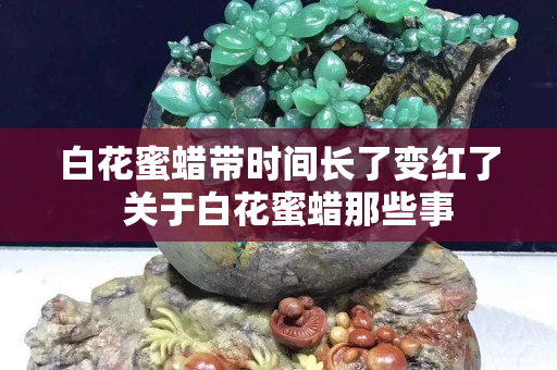 白花蜜蠟帶時間長了變紅了  關于白花蜜蠟那些事