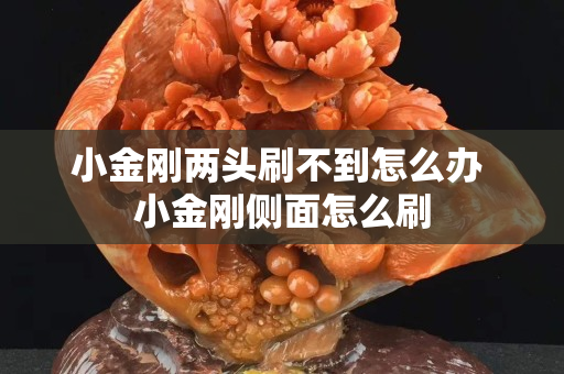 小金剛兩頭刷不到怎么辦 小金剛側(cè)面怎么刷